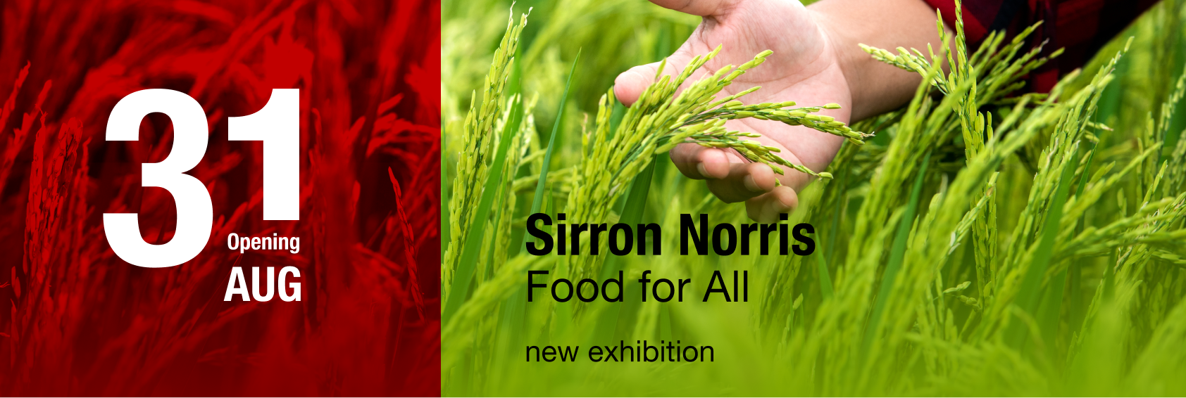 Exhibition opening web banner — Sirron Norris: Food for All